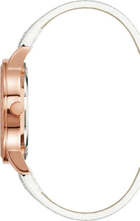 Image du produit Juicy Couture Montre pour femme JC1292RGSI (Ø 34 mm) (34 mm)