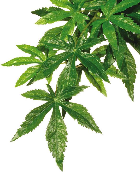 Exo Terra Jungle Plant Abutilon S