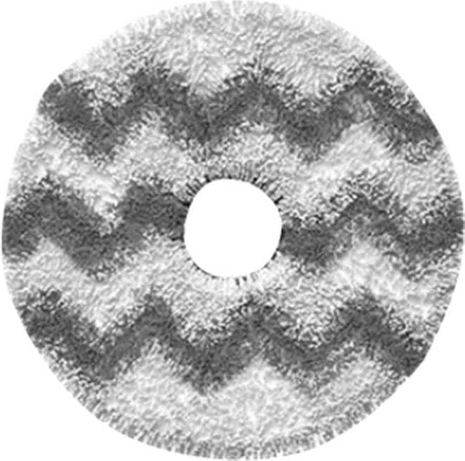 Actual product image Xiaomi Mop do Roidmi EVA