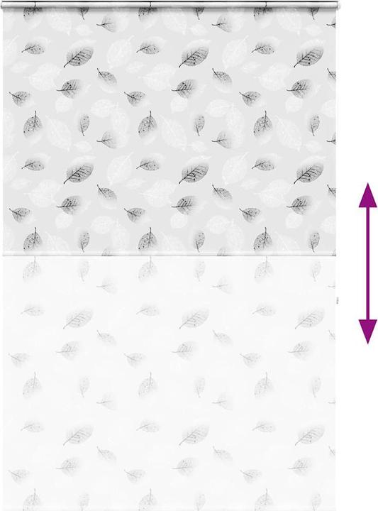 Produktbild vidaXL Duschrollo (150 x 240 cm)