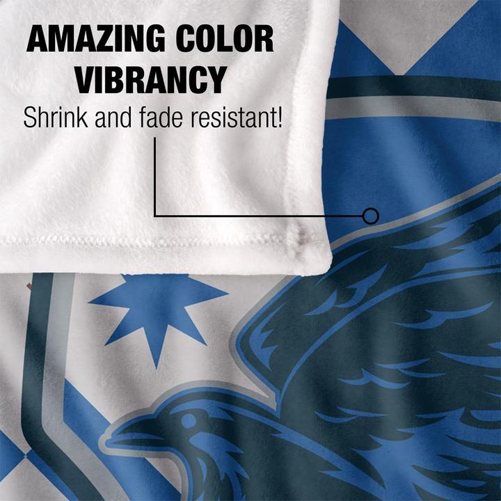 Produktbild Decke Ravenclaw (152 x 127 cm)