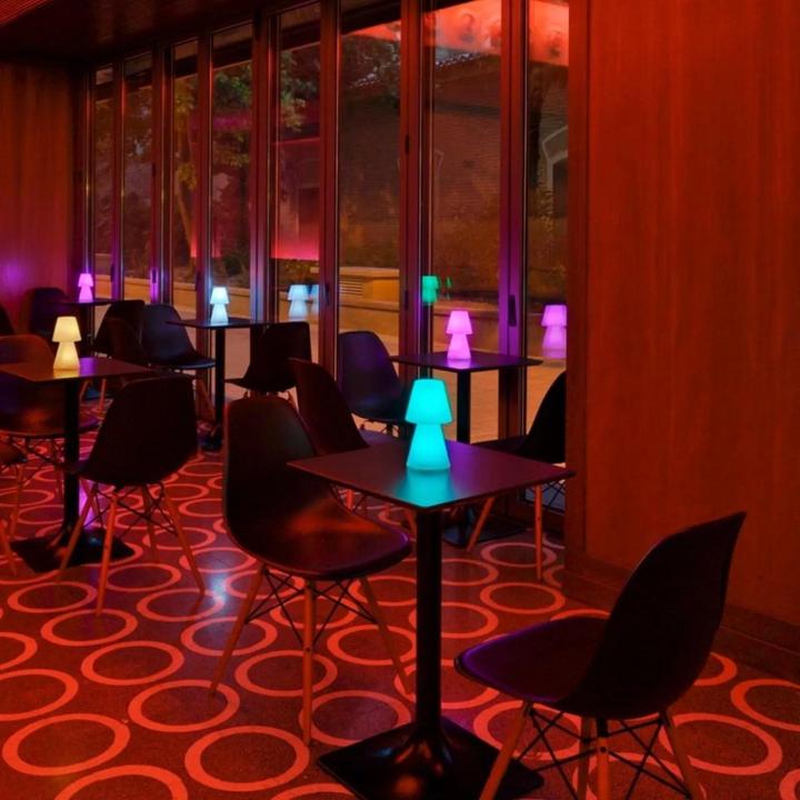 Image du produit Newgarden LOLA 20 LED Lampe de table RGB pour 3 piles AAA