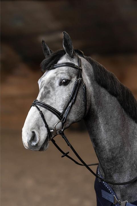 Actual product image HFI Master Painted