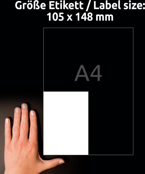 Produktbild Avery AVZ L8003-10 Antimikrobielle Etiketten 105x148mm weiss