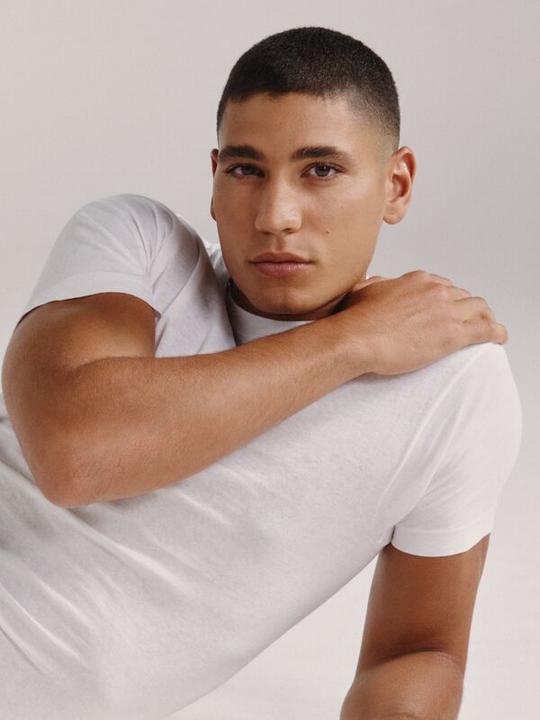 Produktbild Levis Basic T-Shirts (S)