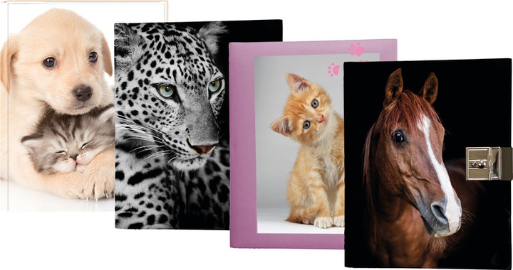 Eibert Visual Diary Best Friends (A5+, Plain, Hardcover)
