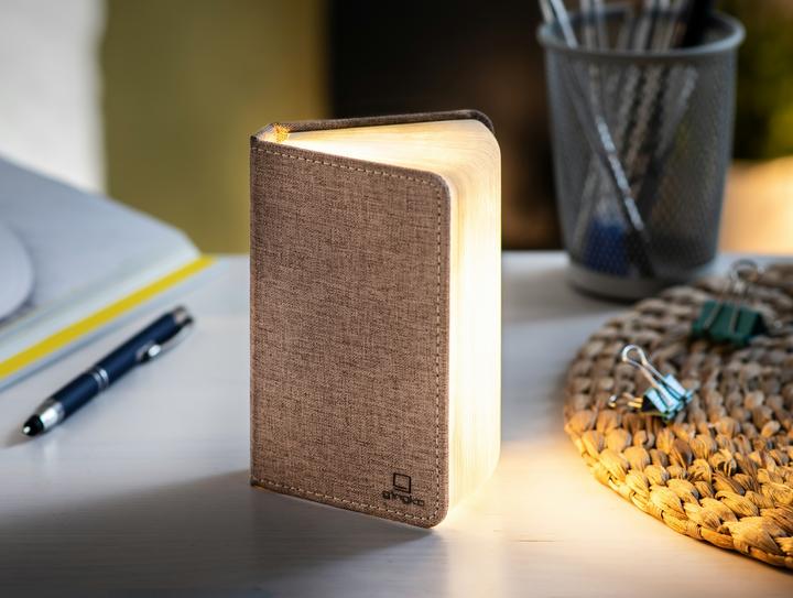 Gingko Mini luce intelligente del libro