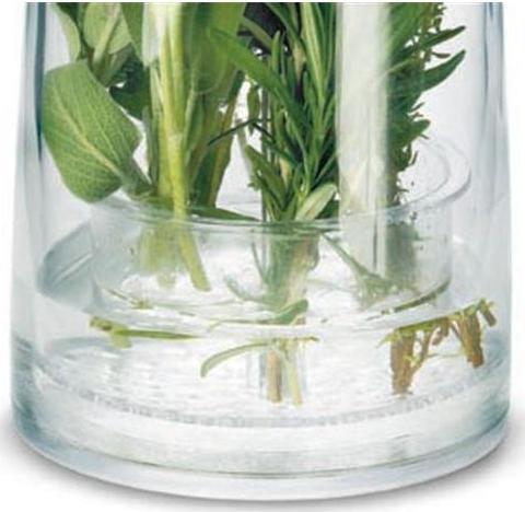 Immagine prodotto Cuisipro Contenitore fresco per erbe (3.10 l)