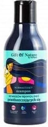 Vis Plantis Gift of Nature (300 ml, Flüssiges Shampoo)