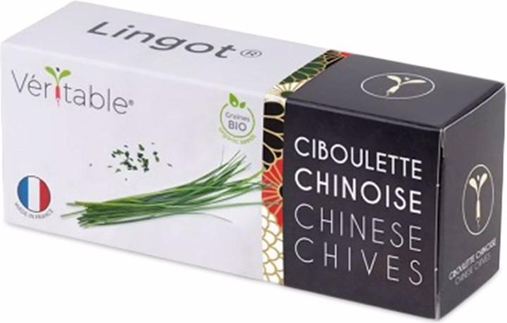 Image du produit Véritable Lingot Ciboulette chinoise BIO (Graines d’herbes aromatiques)