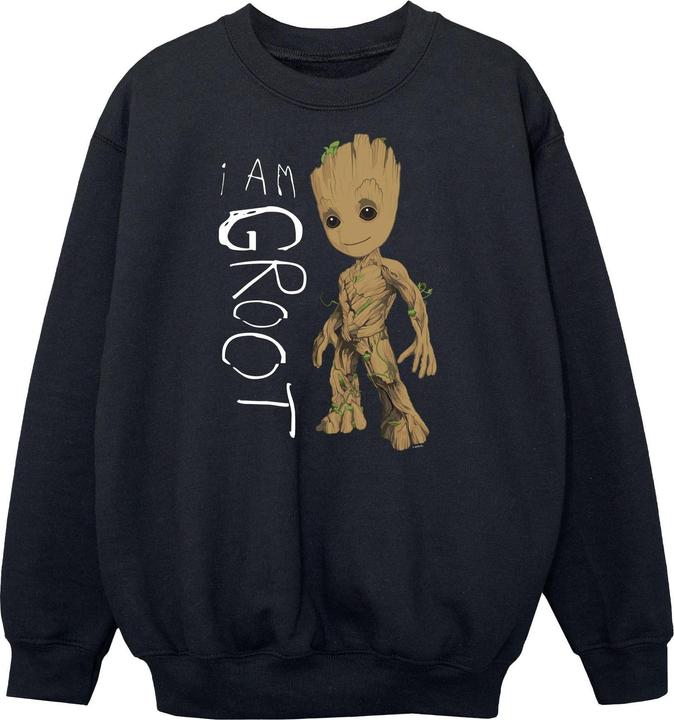 Produktbild Guardians Of The Galaxy I Am Groot Scribbles Sweatshirt Jungen (140, 146)