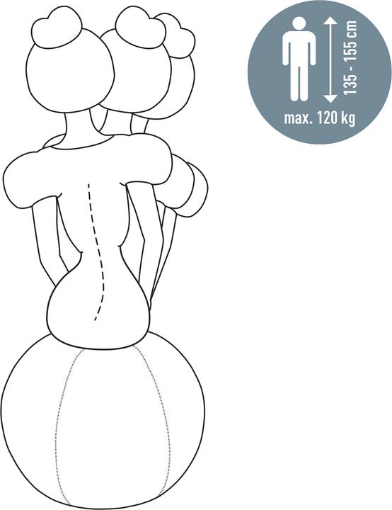 Actual product image Leitz Ergo Active sitting ball (55 cm)