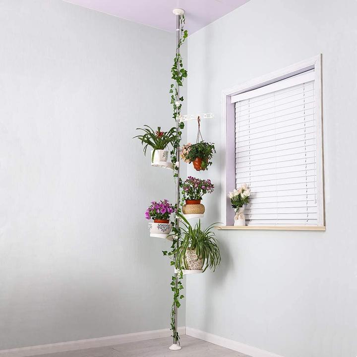 Produktbild Hershii Pflanzenstange