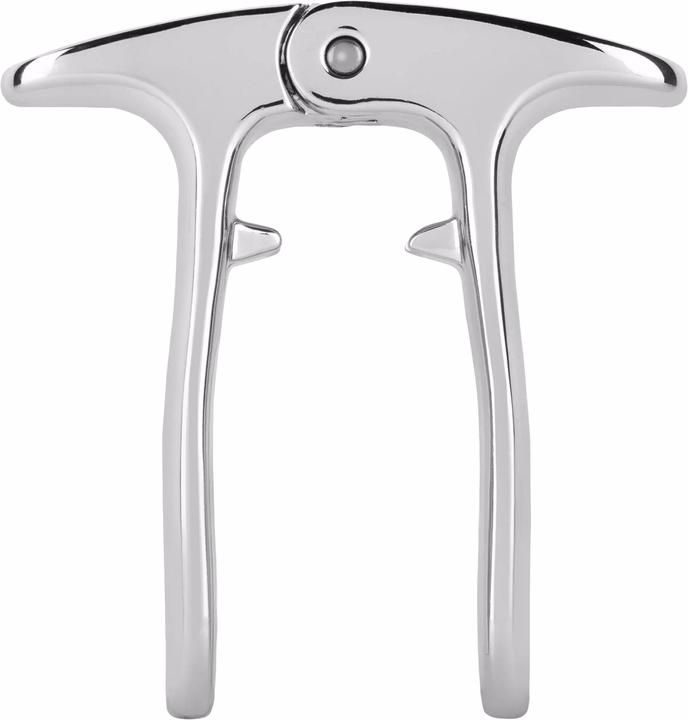 Viski Champagne opener (Corkscrew)