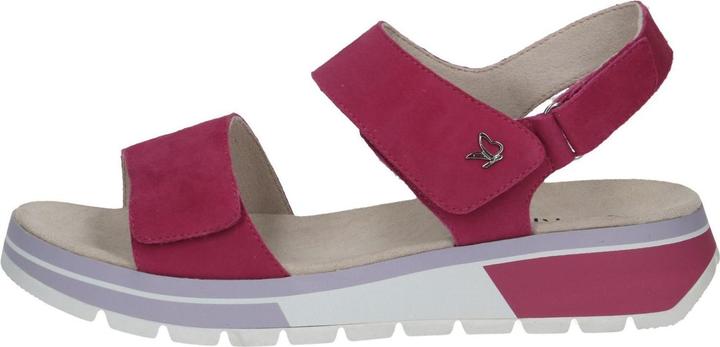 Fuchsia Suede 540