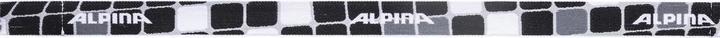 Produktbild ALPINA SPORTS Carvy 2.0