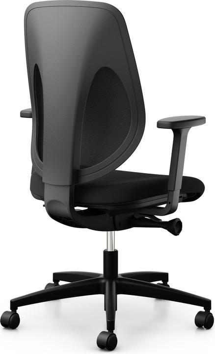 Image du produit Giroflex 353-4029