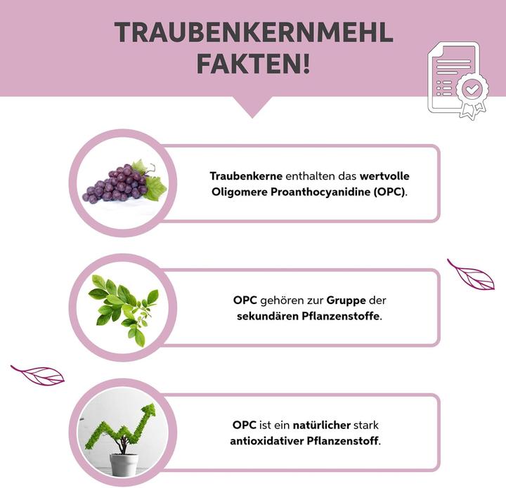 Produktbild Eltabia Bio Traubenkernmehl OPC Traubenkern Extrakt Pulver Premium Rohkost Qualität (Pulver, 100 g)