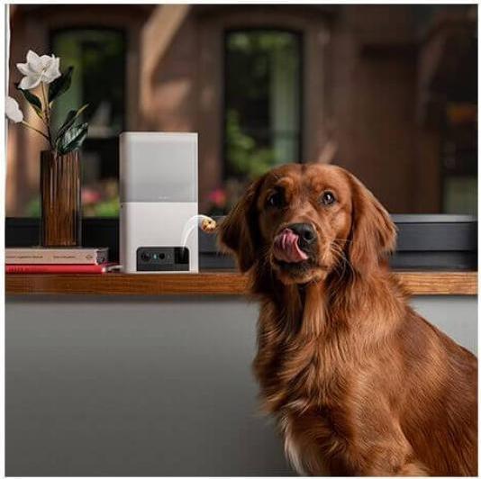 Immagine prodotto Petcube Distributore di croccantini per animali domestici con camera (1000 l)