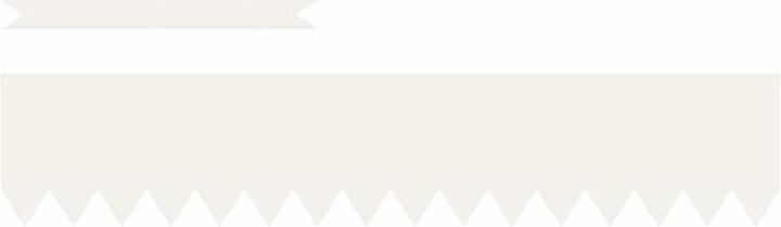 Produktbild vidaXL Gartenumrandung (100 cm)