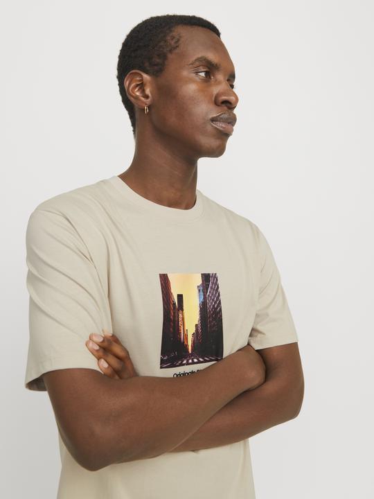 Actual product image Jack & Jones Jorvesterbro Picture Tee Ss Crew Neck Sn (M)