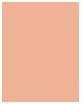 Image du produit Maybelline New York Visage Studio City (250 Chaud moyen, Contour, 8 g)
