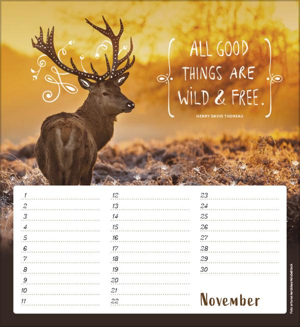 Produktbild Geburtstagskalender Im herzen barfuss