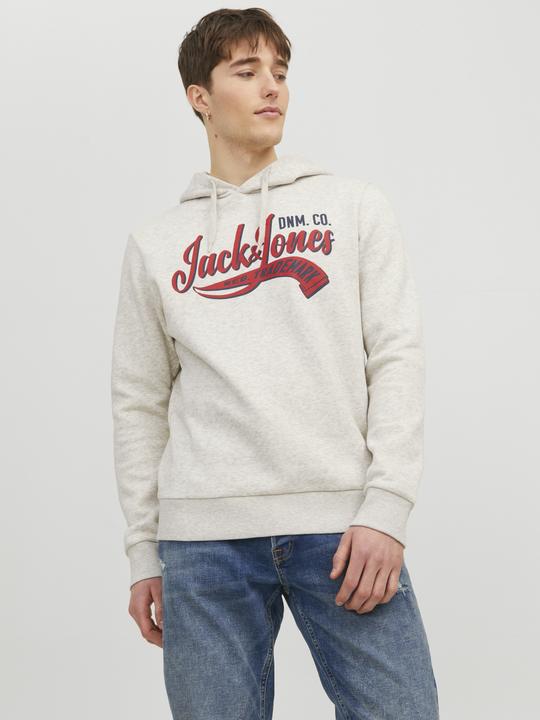 Image du produit Jack & Jones Logo Hoodie (M)