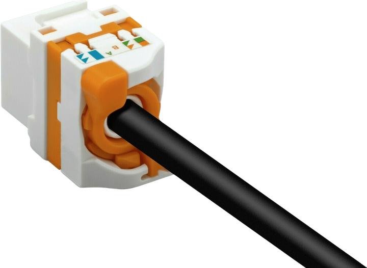 Actual product image DS-IT CAT6 UTP Keystone network connector