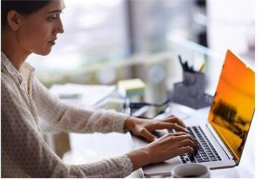 Actual product image 3M Privacy Filter Gold for 12.5" Laptop with COMPLY Attachment System (12.50", 16:9)