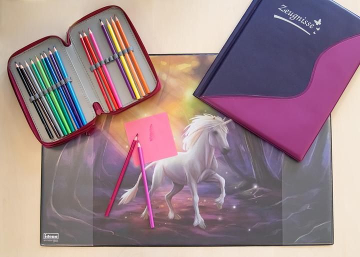 Actual product image Idena Certificate folder A4 12 pockets purple (A4, 1x)