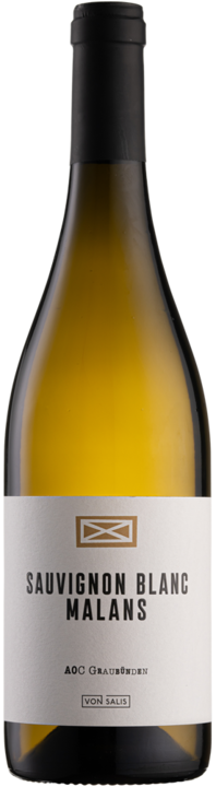Immagine prodotto Von Salis Malans Sauvignon Blanc (1 x 75 cl, 2017)