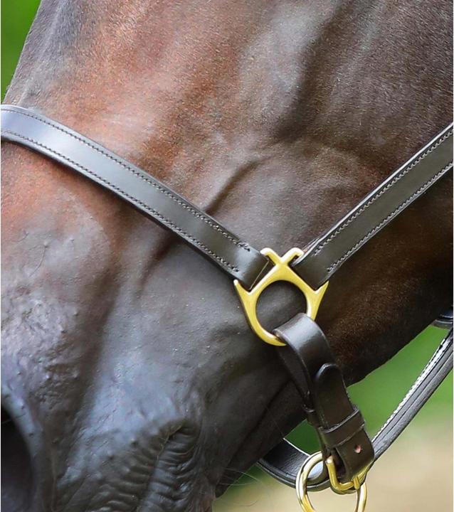 Image du produit Premier Equine Licol pour cheval en cuir