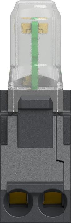 Image du produit Schneider Electric Module LED 24VAC/DC blanc