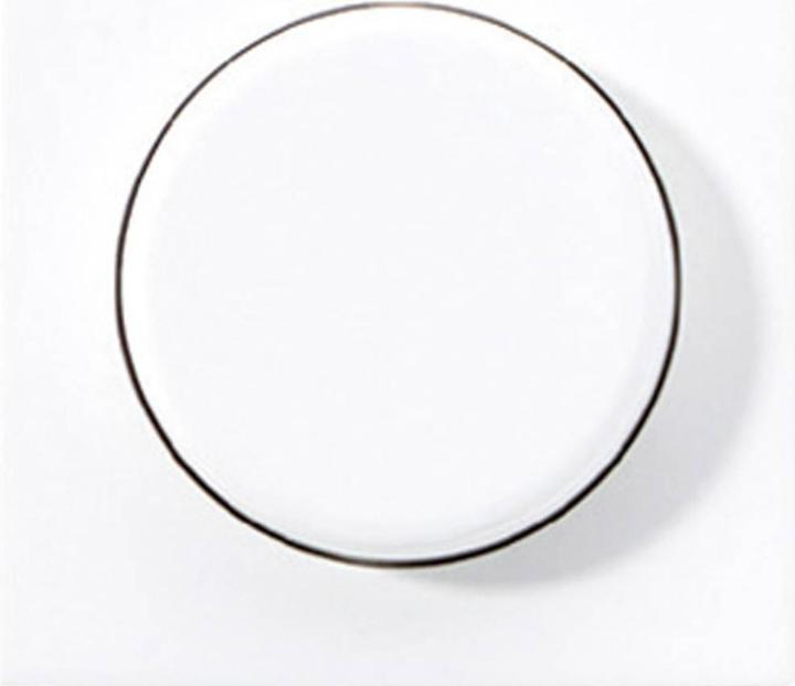 Actual product image JUNG Cover dimmer A 500, AS 500