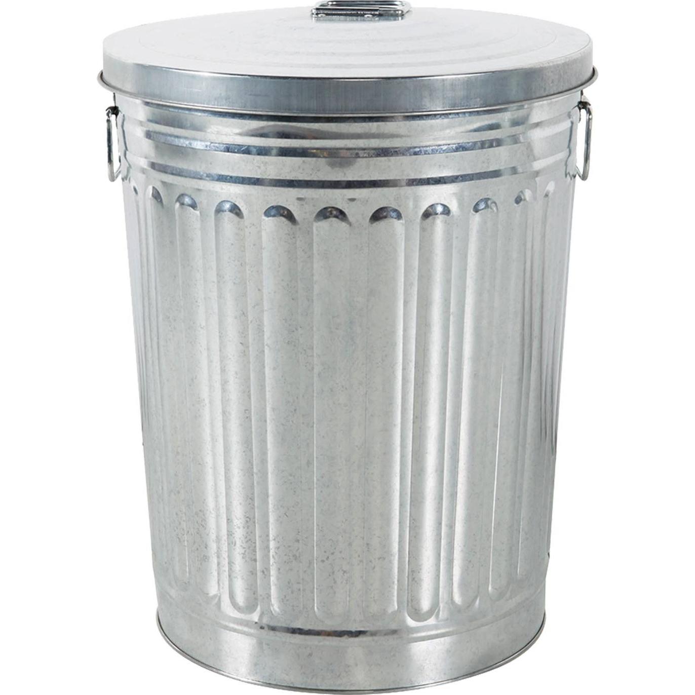 Mojawo 30L Oskartonne Aschetonne mit Deckel Mülltonne Abfalleimer Feuereimer, Abfalleimer, Silber