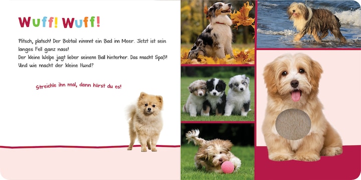 Actual product image Listen in, who can that be? - Cuddly animals (German)
