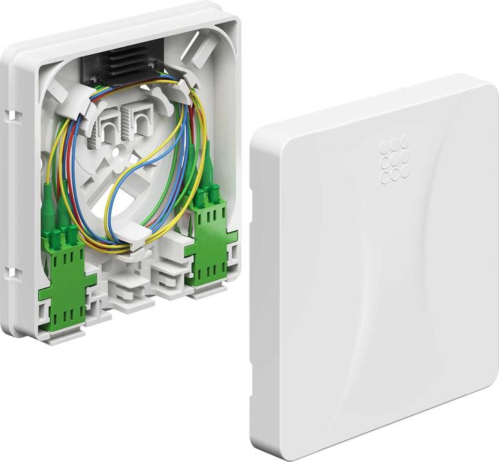 Actual product image Kaiser 4252005 Subscriber connection Gf-TA