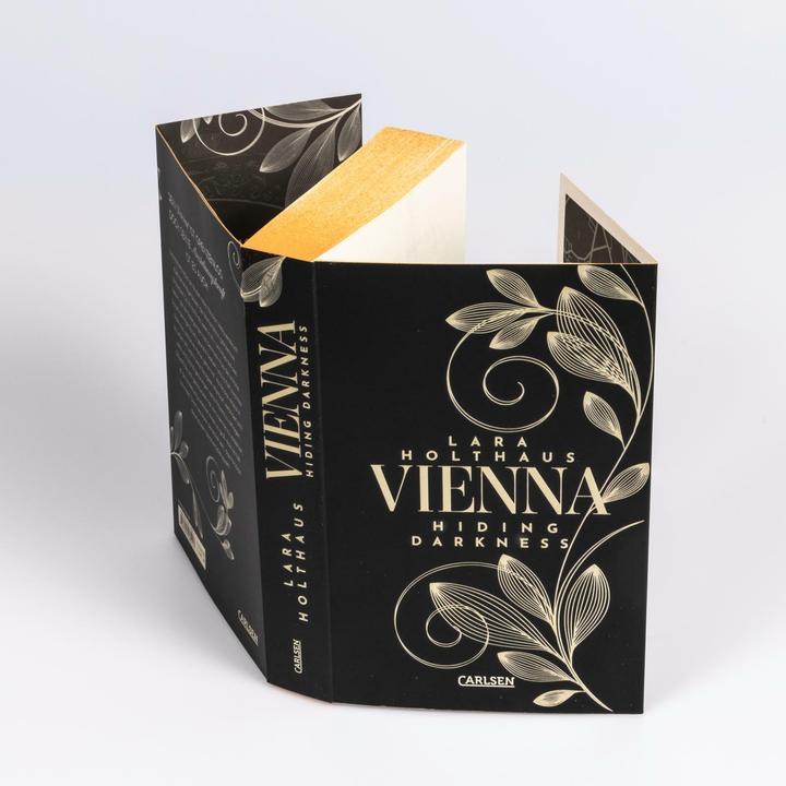 Produktbild Vienna 2: Hiding Darkness (Deutsch, Lara Holthaus, 2024)