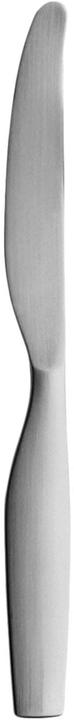 Actual product image Iittala Citterio 98 Dessert knife (Knife)