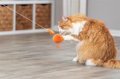 Image du produit Trixie Poulet à l'élastique avec herbe à chat (Jouet en peluche chat)