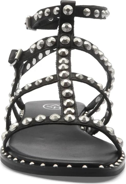 Produktbild Ash Precious (40)