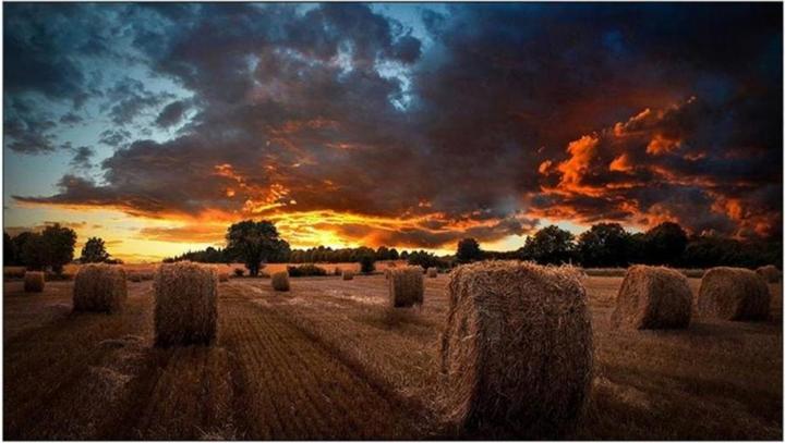 Samsung 46" VM46B-U 500NITS 24 (1920 x 1080 pixels, 46")