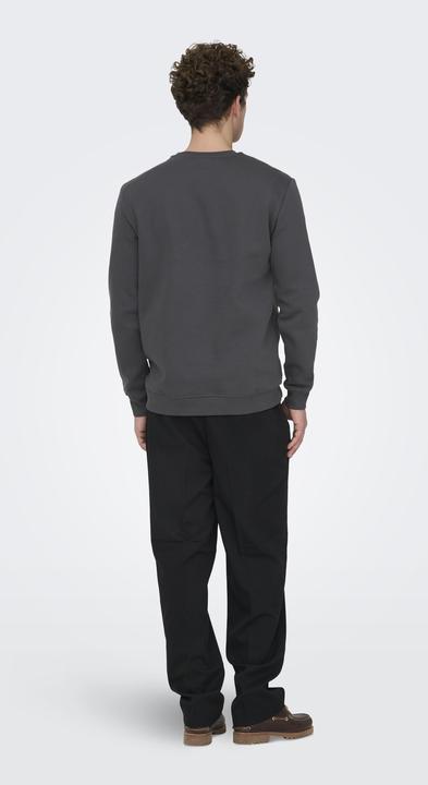 Produktbild Only & Sons Onsconnor Reg Crew Neck Sweat Noos (M)