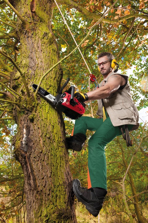 Actual product image Scheppach CSP2540 (Petrol chain saw)