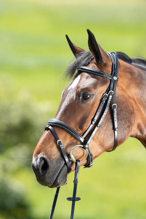 Immagine prodotto HFI Master Technical