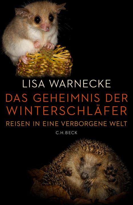Produktbild Das Geheimnis der Winterschläfer (Deutsch, Lisa Warnecke, 2017)