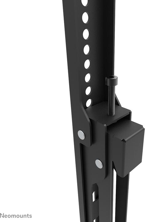 Image du produit Neomounts Select Screen Wall Mount (support mural fixe) (Mur, 110", 160 kg)