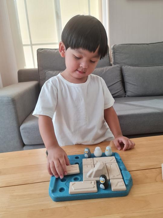 Produktbild Plantoys Spiel Finde den Pinguin