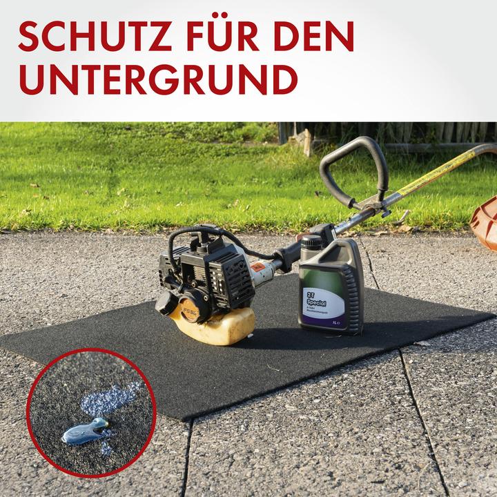 Actual product image Walser Clean Max